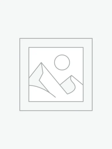 Uncategorized